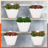 KAI Hanging Oval Planters For Home (Ivory White - Set of 5)